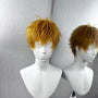 Denji Pre-Styled Anime Cosplay Wig